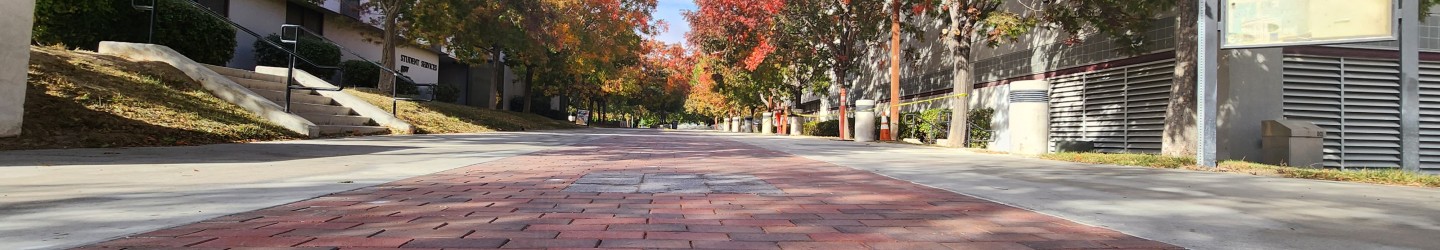 image of pathway to knowledge bricks archive