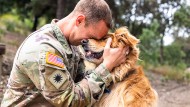 Veteran and Dog